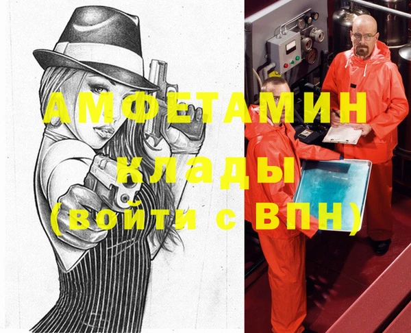 сатива Елизово