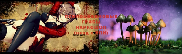 ALPHA PVP Гусиноозёрск